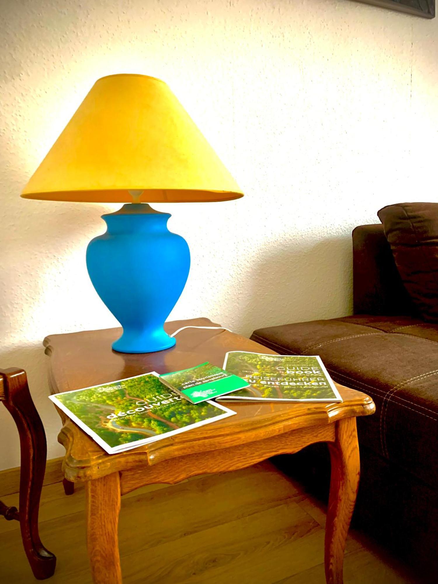 L Indemodable Renove Spacieux Et Lumineux Avec 2 Chambres Sarrebourg Zewnętrze zdjęcie